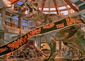 ¿Se puede armar una Notebook «por partes»?