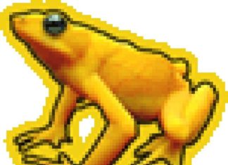 imgur: el nuevo imageshack