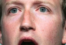 De la Web abierta a la era algorítmica: ¿Internet nos hizo más pelotudos?