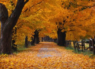 Al final del Arcoiris