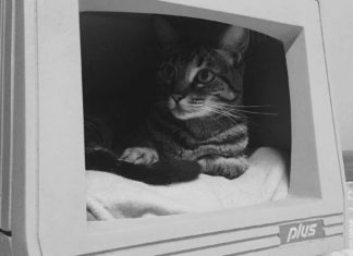 EaseUS Todo Backup y las recetas de la tía Rosa