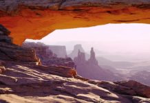 ¿Cuál es el mejor navegador para Windows 7 en 2025?