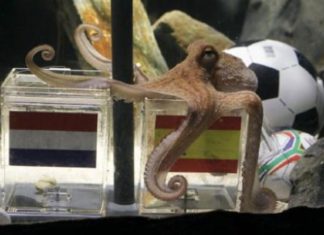 Quotes de la semana #130 + #131 La tienen adentro